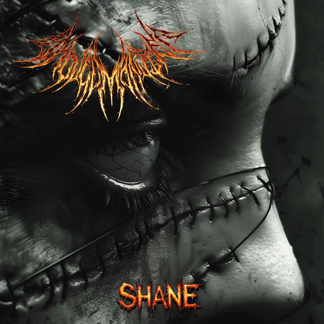 Shane the new album from Shovel Monster. Phase B Records.2025